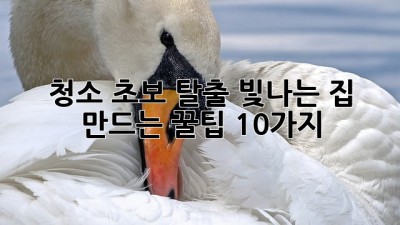청소 초보 탈출!✨ 빛나는 집 만드는 꿀팁 10가지💎