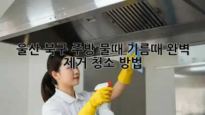 울산 북구 주방 물때, 기름때 완벽 제거 청소 방법! ✨